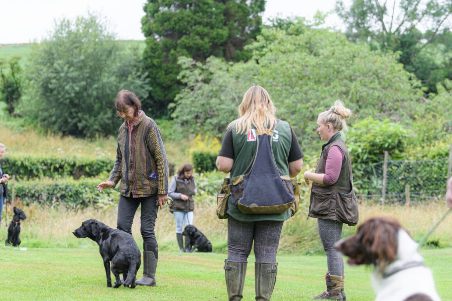 From Tennis to Gundog Training: The Versatility of Skorts for Women's  Outdoor Activities - The Ladies Working Dog Group