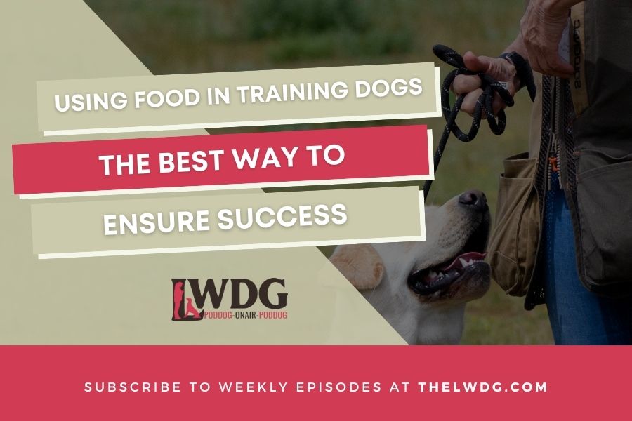 Using Food Rewards In Training Working Dogs The Best Way To Ensure Success The Ladies Working Dog Group