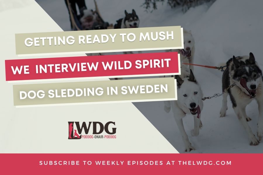 GO outdoors - Dog Sledding Sweden