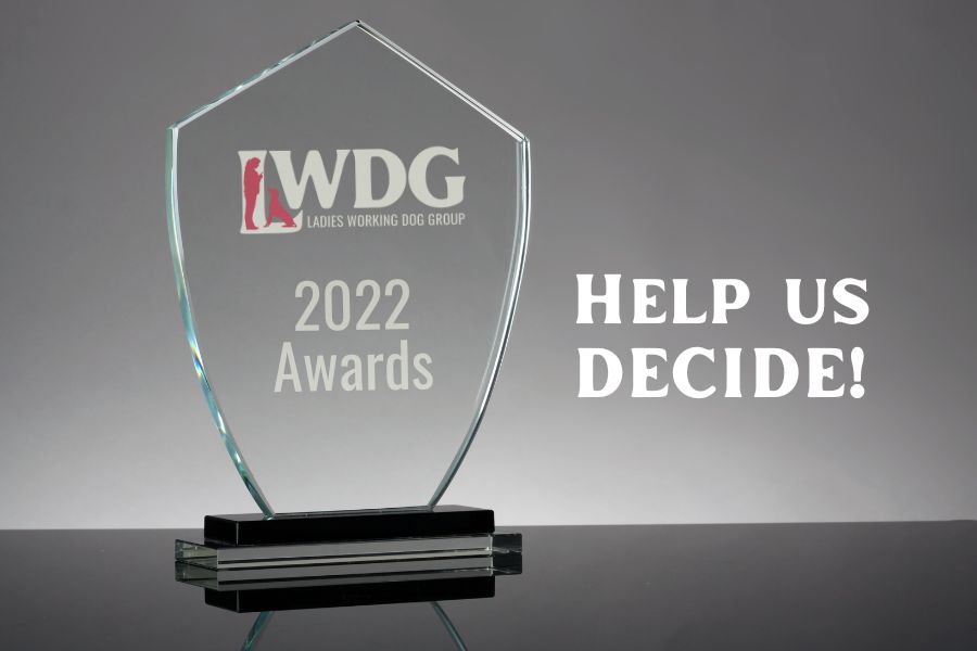 The LWDG 2022 Awards – Vote Now!