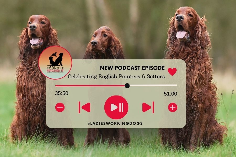 Podcast 101. Celebrating the English Pointers & The Four Setters: A Special Episode with Lucy Hall