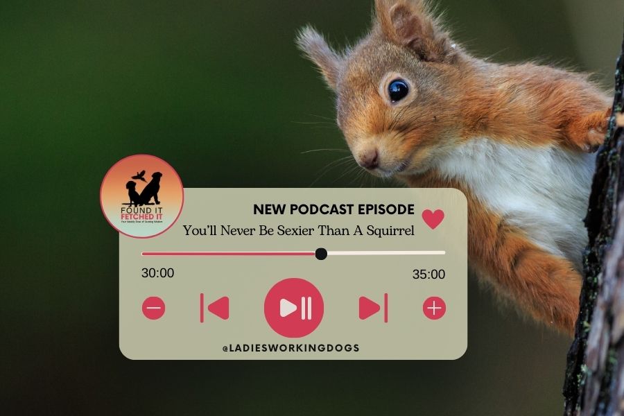 Podacast Episode 104 – You’ll Never Be Sexier than a Squirrel