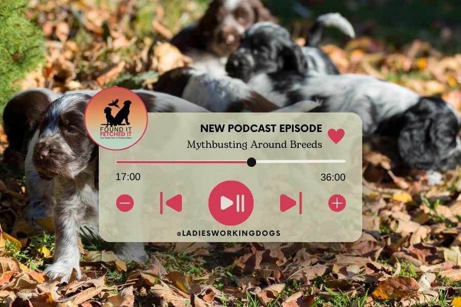 Podcast Episode 110: Mythbusting around Breeds