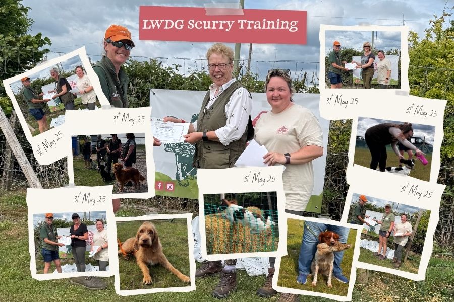 women-gundog-training-event-oxford-field
