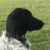 Profile picture of Hilary F