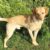 Profile picture of Di Bentley